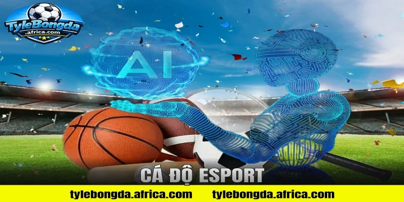 cá độ esport