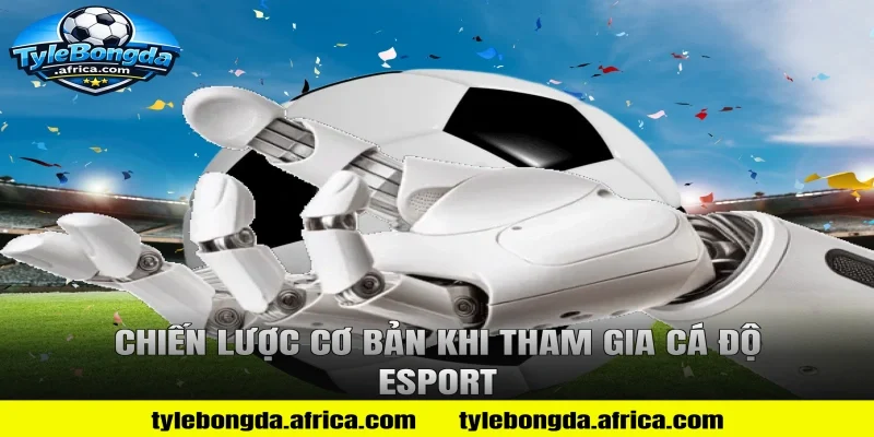 Chiến lược cơ bản khi tham gia Cá Độ Esport
