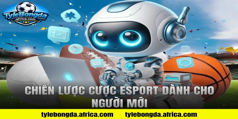 Chiến Lược Cược Esport Dành Cho Người Mới