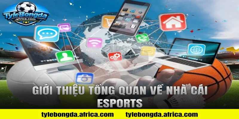 Giới thiệu tổng quan về nhà cái Esports