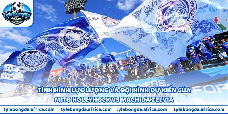 Tình hình lực lượng và đội hình dự kiến của Mito Hollyhock vs Machida Zelvia