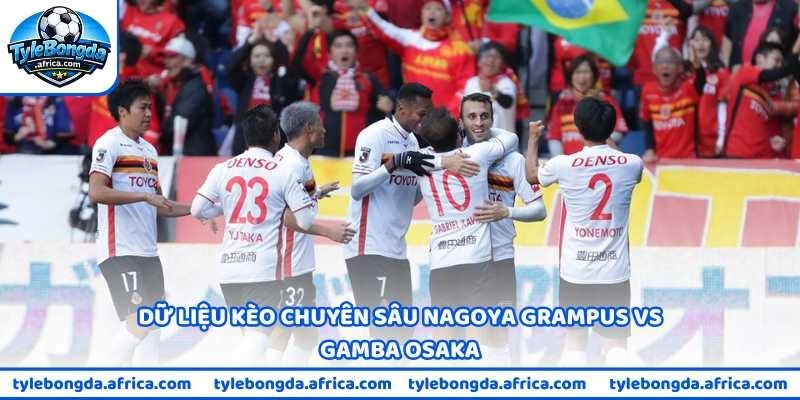 Dữ liệu kèo chuyên sâu Nagoya Grampus vs Gamba Osaka