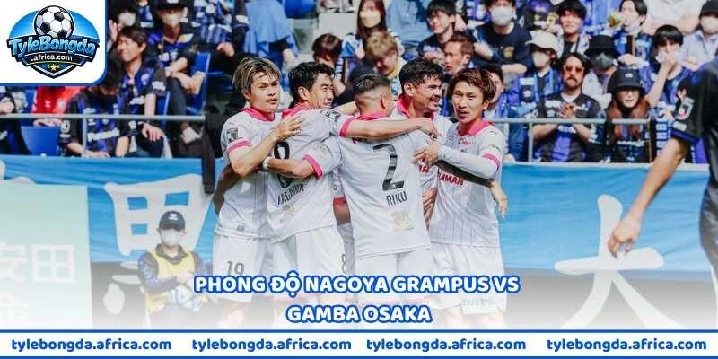 Phong độ Nagoya Grampus vs Gamba Osaka